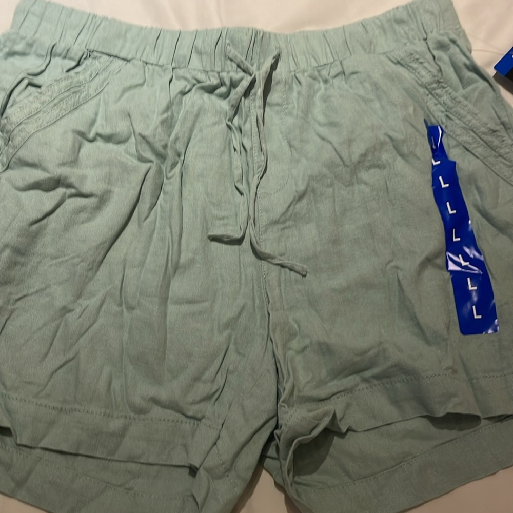 NWT Briggs Light Green Shorts Size L - Picture 2 of 2